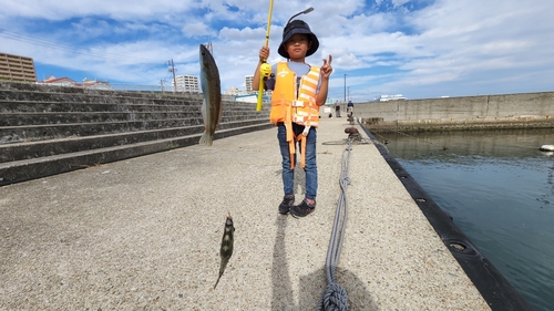 カワハギの釣果