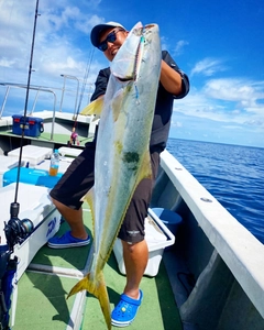 ヒラマサの釣果