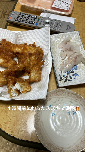 シーバスの釣果