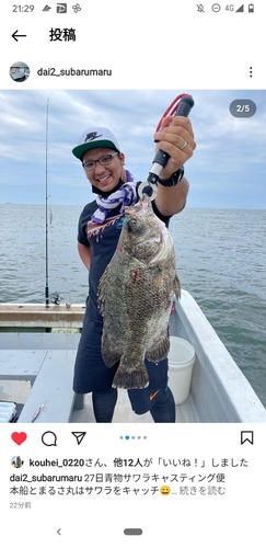 マツダイの釣果