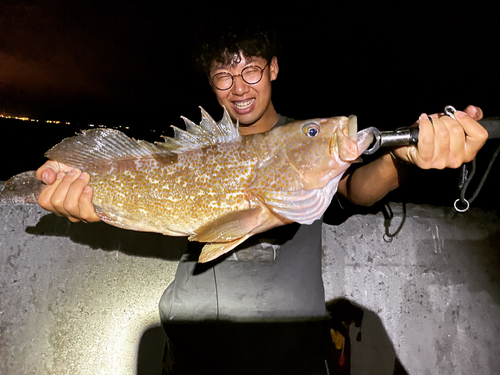 アコウの釣果