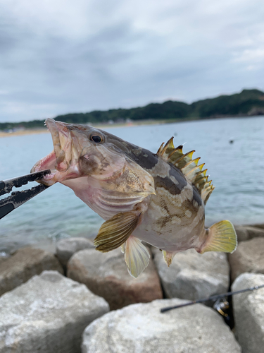 釣果