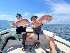 タイの釣果