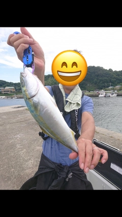 ツバスの釣果