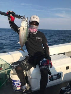 ハガツオの釣果