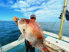 マダイの釣果