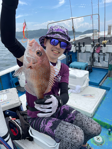 マダイの釣果