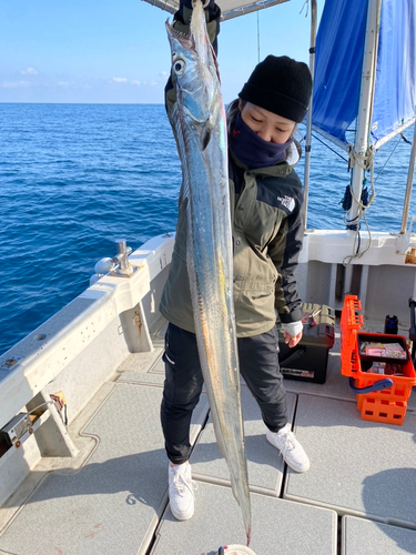 タチウオの釣果