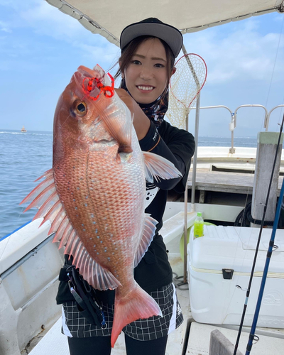 マダイの釣果