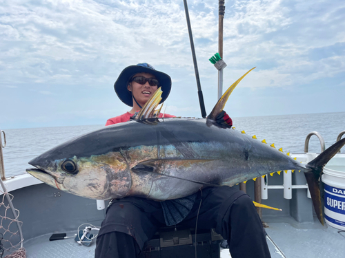 キハダマグロの釣果