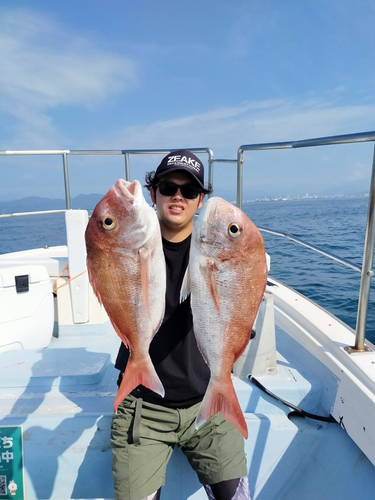 マダイの釣果