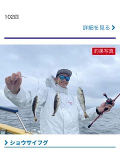 ショウサイフグの釣果