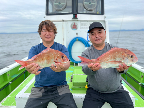 マダイの釣果