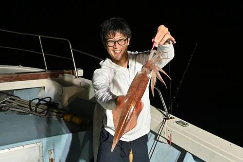 ヤリイカの釣果