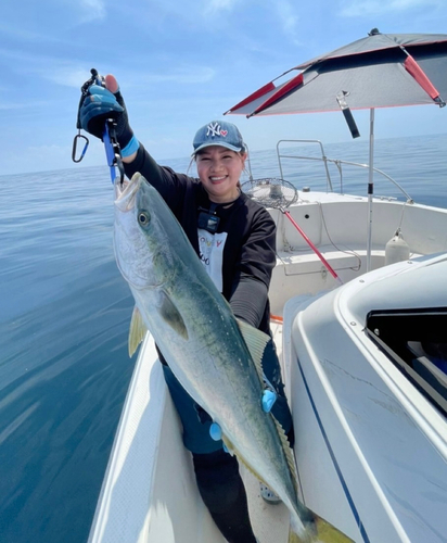 ハマチの釣果