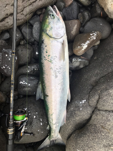 クズレハマ川河口