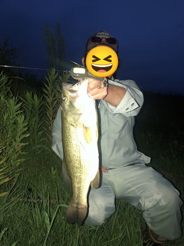 ブラックバスの釣果