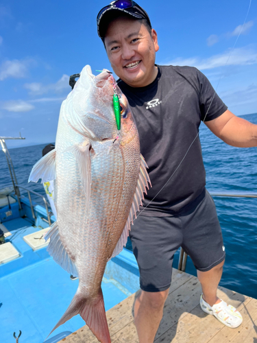 マダイの釣果