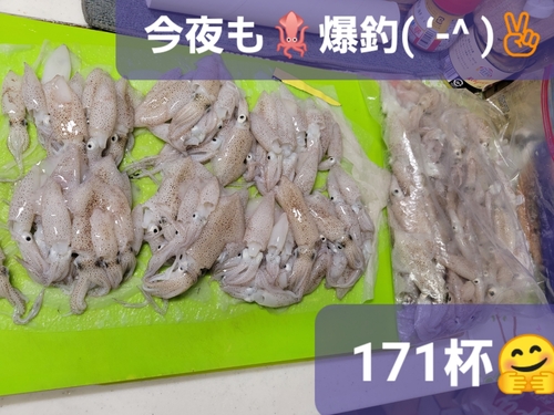 ベイカの釣果