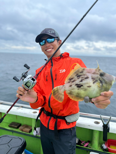 カワハギの釣果