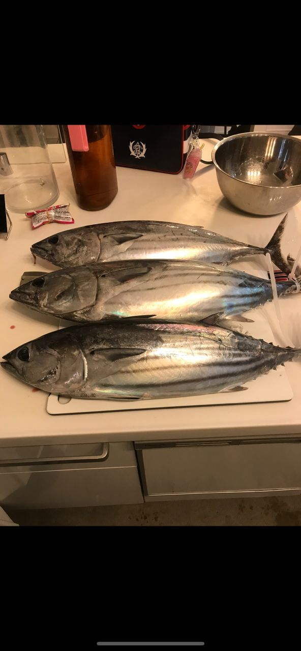 みかぽんさんの釣果 2枚目の画像