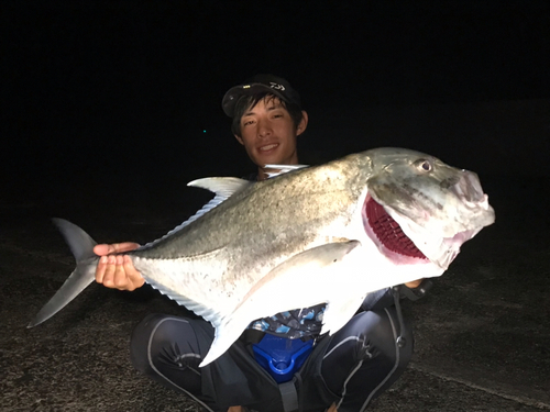 ロウニンアジの釣果