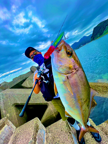 ショゴの釣果