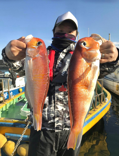 アマダイの釣果