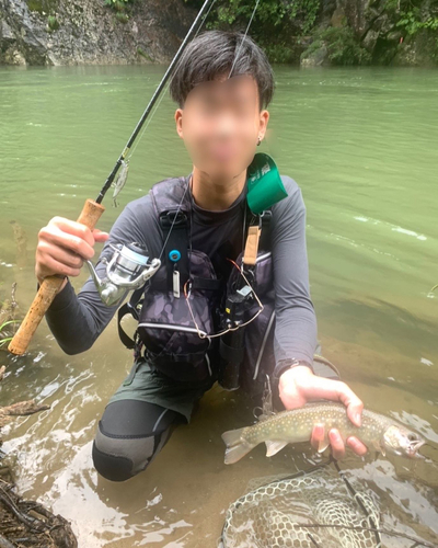 イワナの釣果