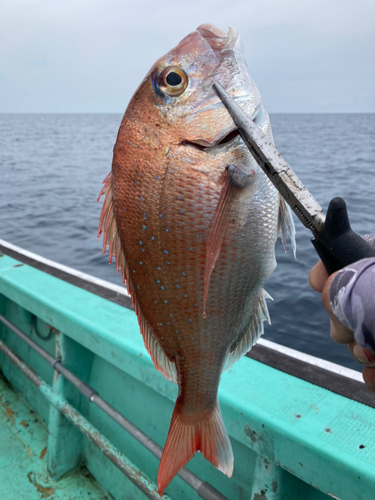 タイの釣果