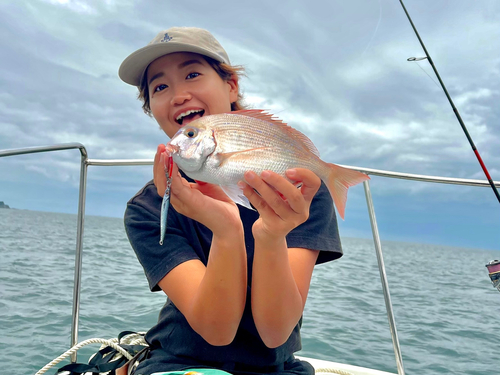 マダイの釣果