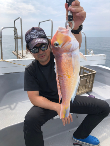 アマダイの釣果