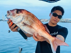 タイの釣果