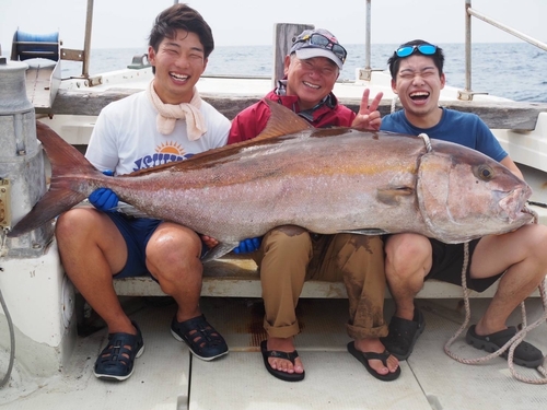 カンパチの釣果