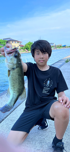 ブラックバスの釣果