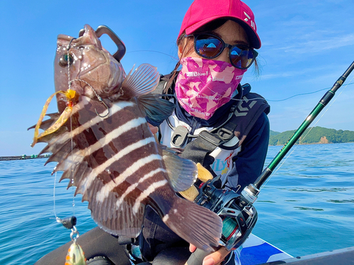 マハタの釣果