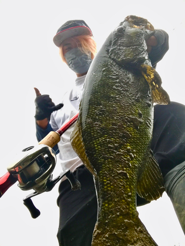 ブラックバスの釣果