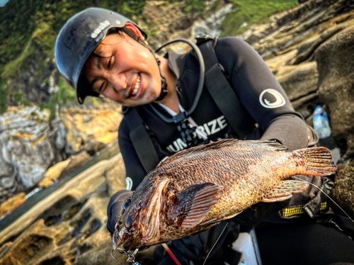 クロソイの釣果