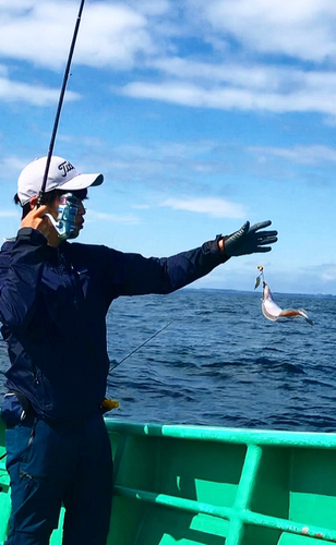 ムシガレイの釣果