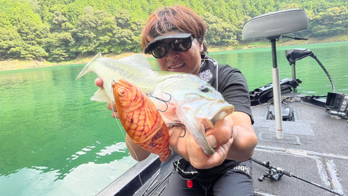 ブラックバスの釣果