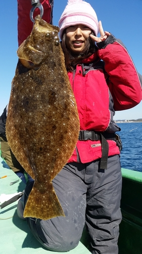 ヒラメの釣果