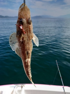 イネゴチの釣果