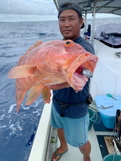 アカジンミーバイの釣果