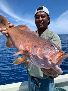 アカジンミーバイの釣果