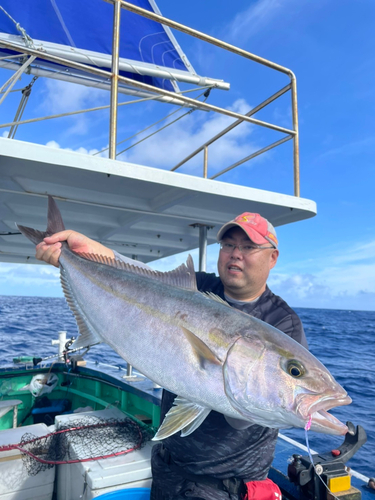 カンパチの釣果