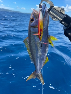 タイクチャーマチの釣果