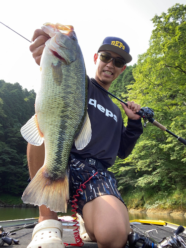 ブラックバスの釣果