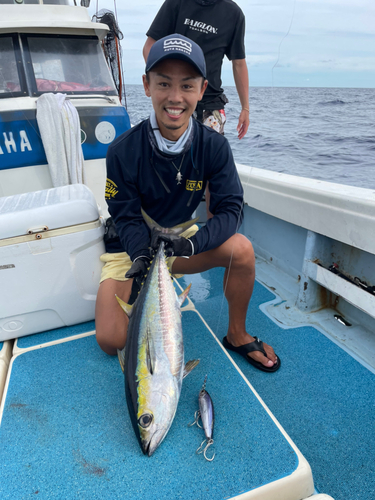 キハダマグロの釣果