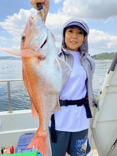 マダイの釣果