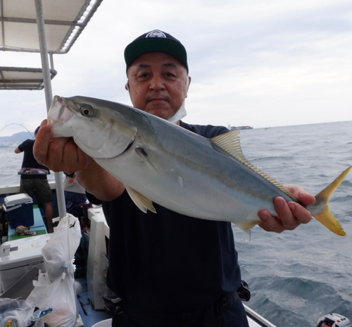 メジロの釣果